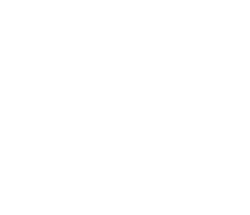 api member playground installer