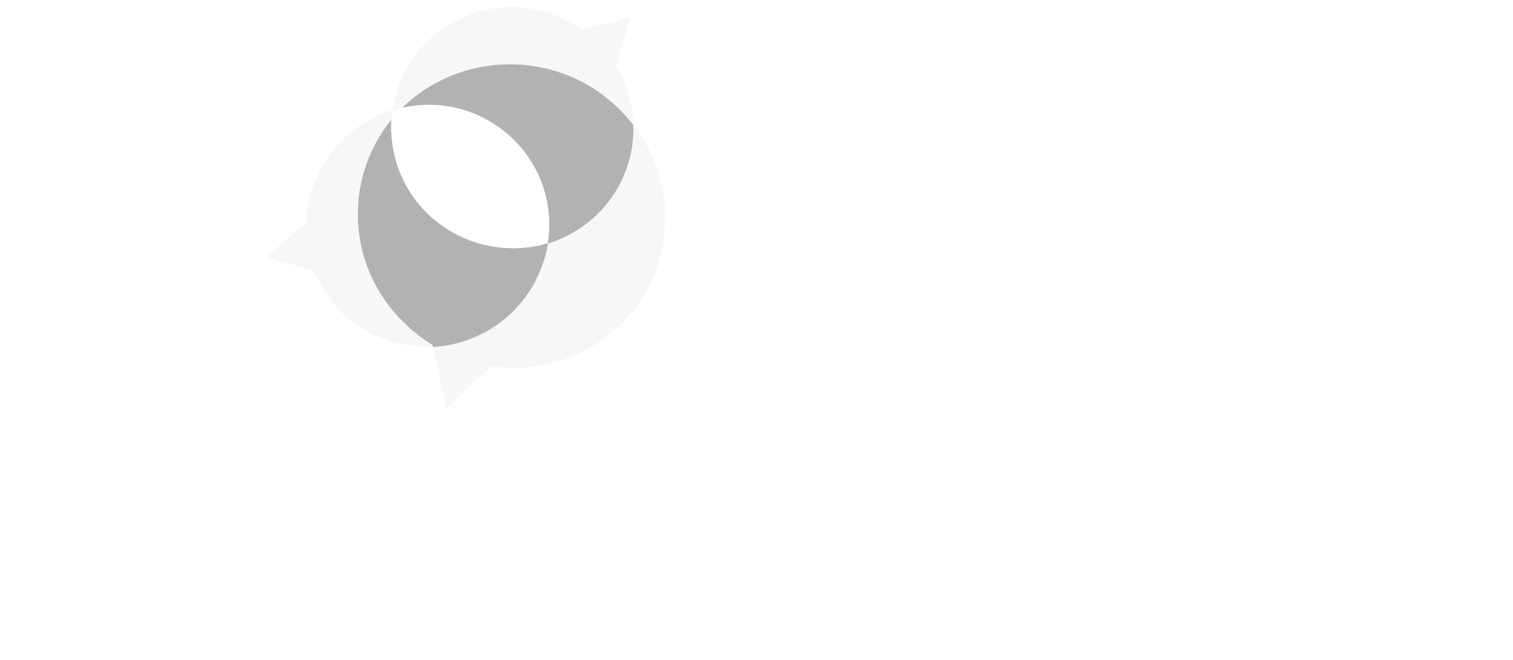rospa member playground installer