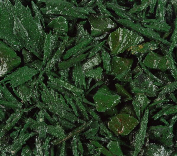 Forest Green Bounded Rubber Mulch