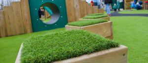 School Landscape Header