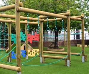 Apex Multi Pole Climber (4)