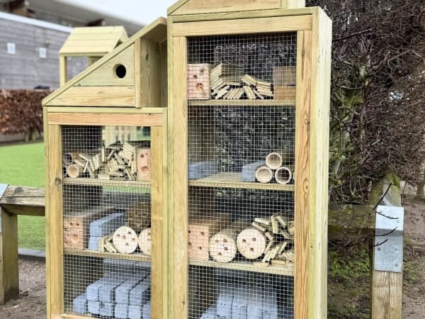 Bug House