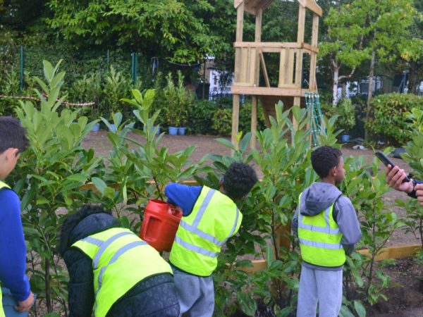 School Growing